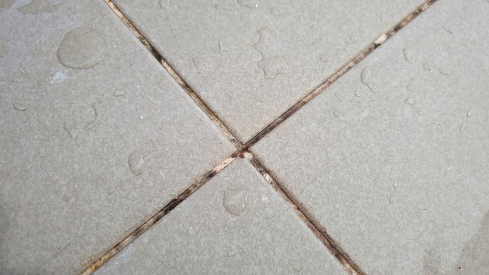Grout